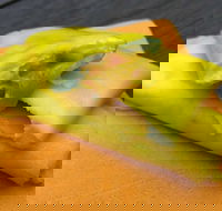 House Of Canton - Pubs Perth