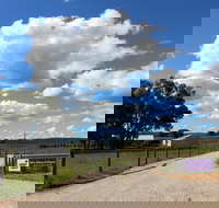 Short Sheep Micro-Winery - Pubs Perth