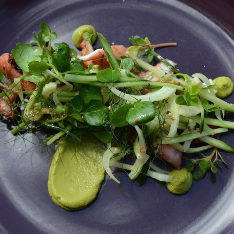 Bellbird - Pubs Perth 0