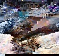 Grandpas Lebanese Food - Pubs Perth