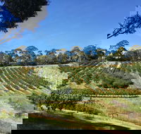 Cherrytime Orchard - Pubs Perth