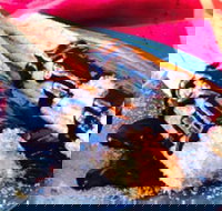 Donut King - Sunshine - Pubs Perth