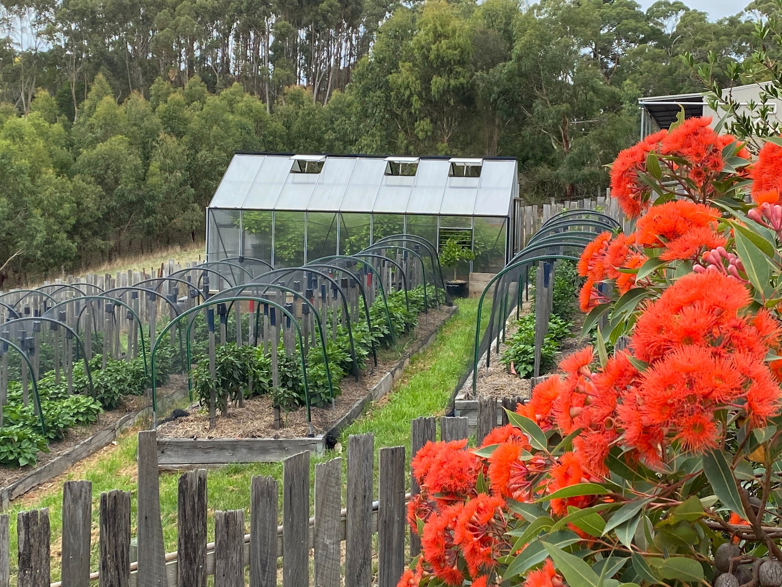 Deans Marsh VIC Pubs Perth