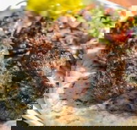 Kofte Co. - Pubs Perth