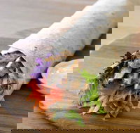 Le Wrap - Rhodes - Pubs Perth