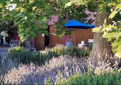 Macquariedale Organic Wines - Pubs Perth 0