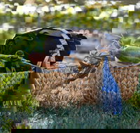 Rowlee Wines Picnic Hamper - Pubs Perth