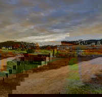 Baarmutha Wines - Pubs Perth