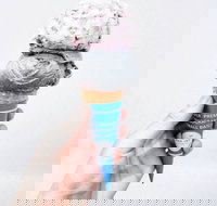 The Max Joy Co. - Eastwood - Pubs Perth