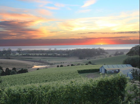 Cape Bernier Vineyard - Pubs Perth 0