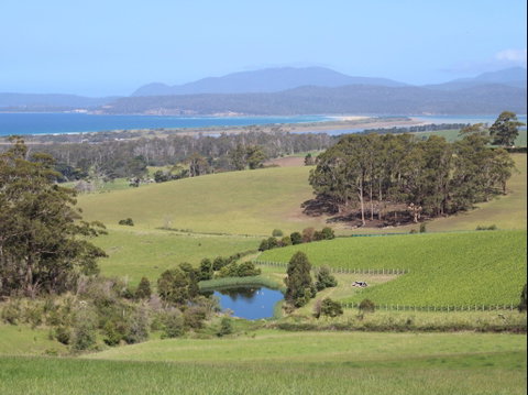 Cape Bernier Vineyard - Pubs Perth 1