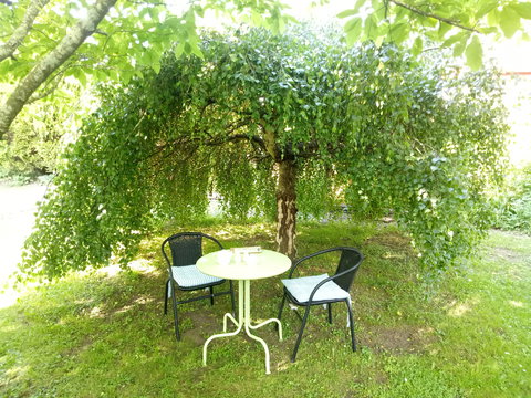 Earthwater Cafe - Pubs Perth 0