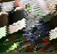 Hill of Promise Winery and Cellar Door - Pubs Perth