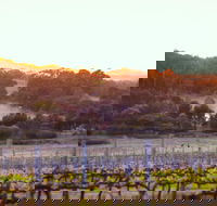 Howling Wolves Wines - Pubs Perth