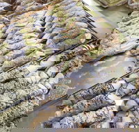 Il Pasticcino - Pubs Perth