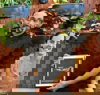 Masala Fusion - Pubs Perth