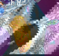 Sharks Tail Fish  Chippery - Pubs Perth