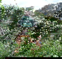 The Cidery - Pubs Perth