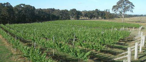 Yarralaw Springs Wines - Pubs Perth 2
