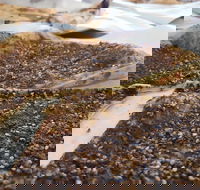 Yum Yum Bakery - Pubs Perth