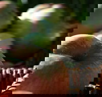 Denmark Heritage Cider Company - Pubs Perth