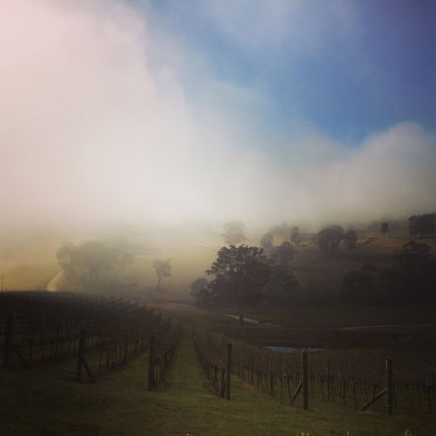 Dryridge Estate - Pubs Perth 1