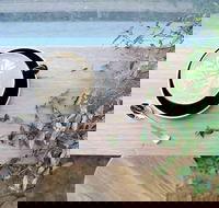 Glasshouse Hampton - Pubs Perth