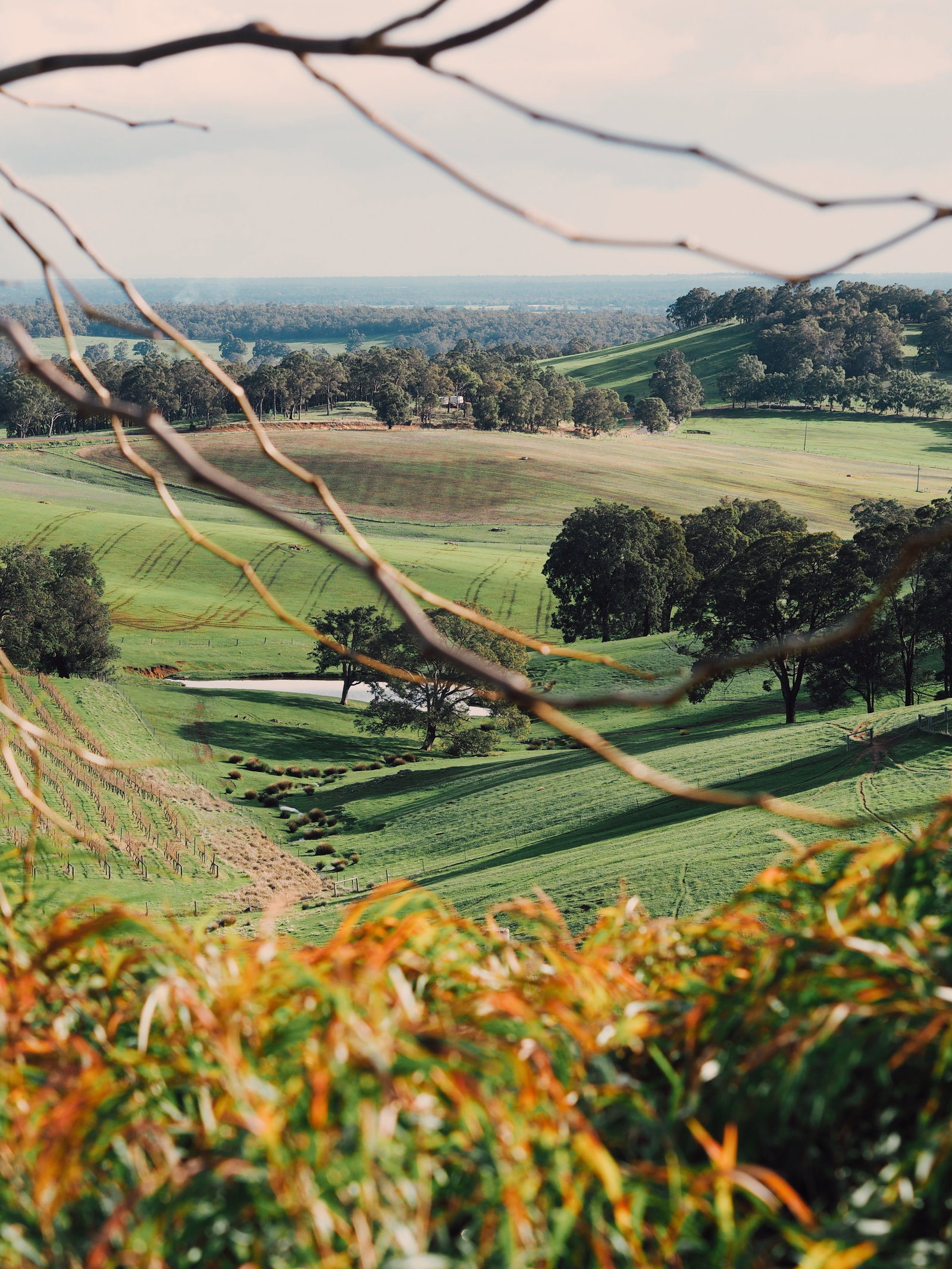 Wellington Forest WA Pubs Perth