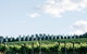 Passing Clouds - thumb 1