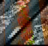 Yorokobi - Pubs Perth