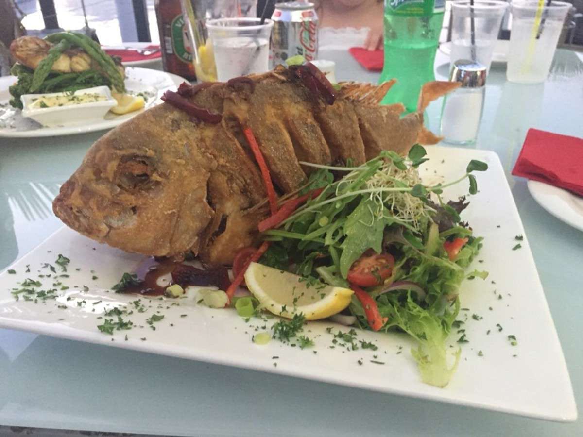 Eurong QLD Pubs Perth