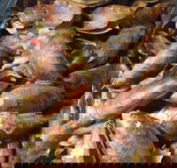 Pacific Eats - Pubs Perth