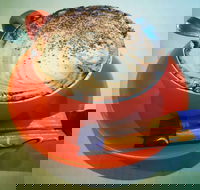 Routleys Bakery - Pubs Perth