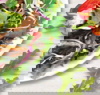 Sumo Salad - South Brisbane - Pubs Perth