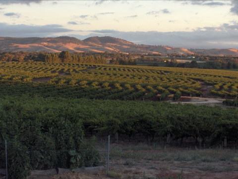 Heritage Wines - Pubs Perth 2