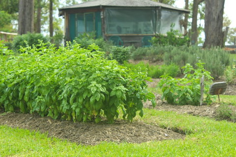 Hillview Herb Farm - Pubs Perth 2