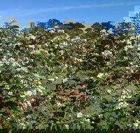 Huntley Berry Farm - Pubs Perth