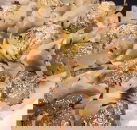 Jammy Cow - Pubs Perth