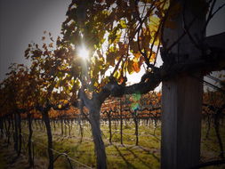 Wyberba Restaurants and Takeaway Pubs Perth Pubs Perth