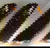 A Treat of France - Carlton North - Pubs Perth