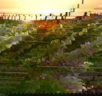 Bennetts on Bellarine Winery - Pubs Perth