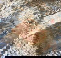 Mad Mex Fresh Mexican Grill - Pubs Perth