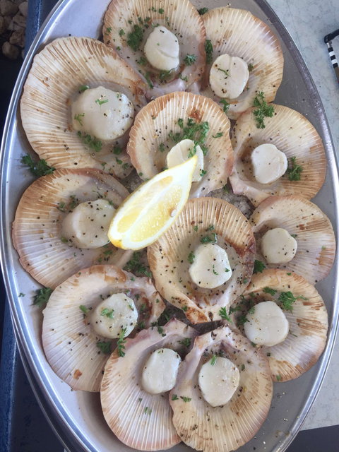 The Deck On Parkyn - Pubs Perth 0