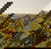 Wimbaliri Wines - Pubs Perth