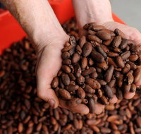 Zokoko Chocolate and Espresso Cafe - Pubs Perth