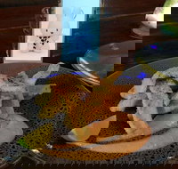 Cocina Mexican Grill and Cantina - Pubs Perth