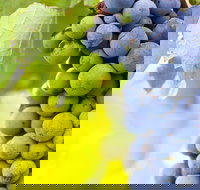 Eden Road Wines - Pubs Perth