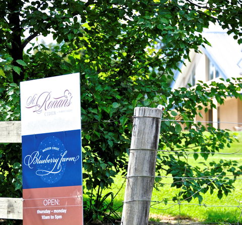 Badger Creek Blueberry Winery - Pubs Perth 1
