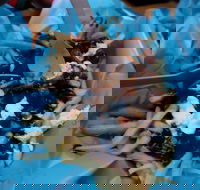 Hampton Wine Co - Pubs Perth