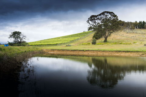 Mount Majura Vineyard - Pubs Perth 1